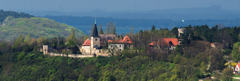 Kloster-Zscheiplitz-Fruehling.jpg